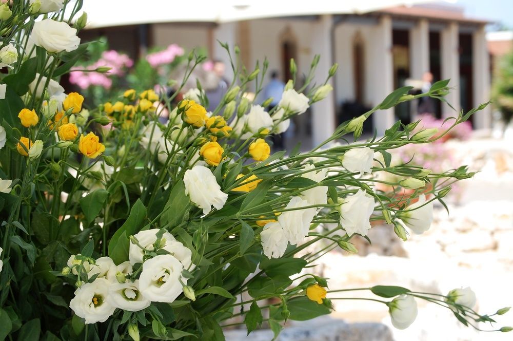 Masseria La Grande Quercia Ξενοδοχείο Mottola Εξωτερικό φωτογραφία